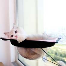 Pet Accessories Cat Hammock Bed on Wall for Pets